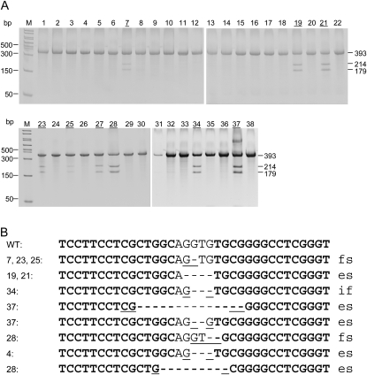 Figure 5.—