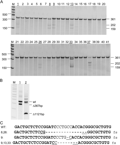 Figure 6.—