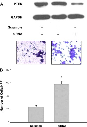 Fig. 9.