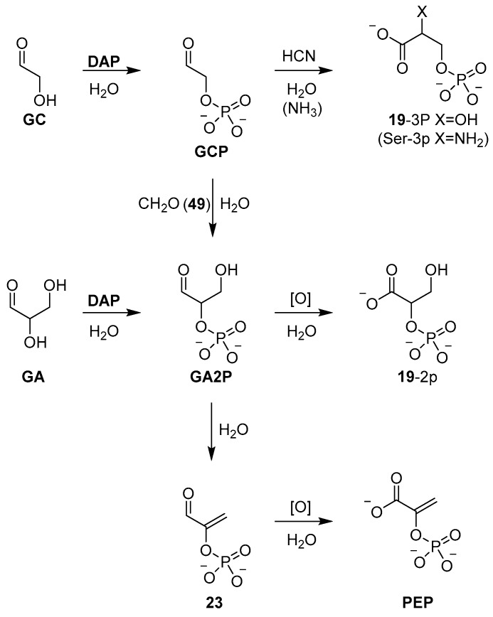 Scheme 8