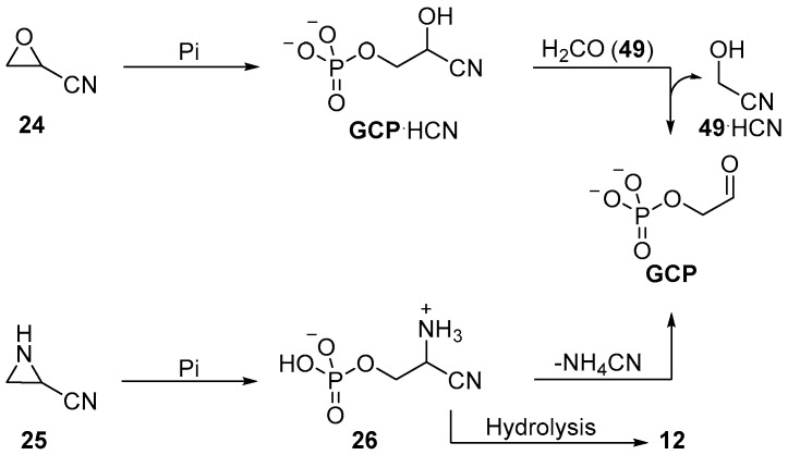 Scheme 9