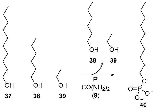 Scheme 13