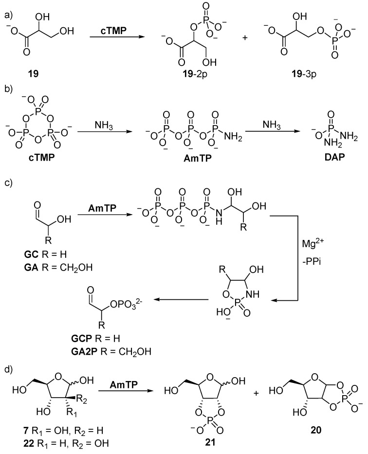 Scheme 7