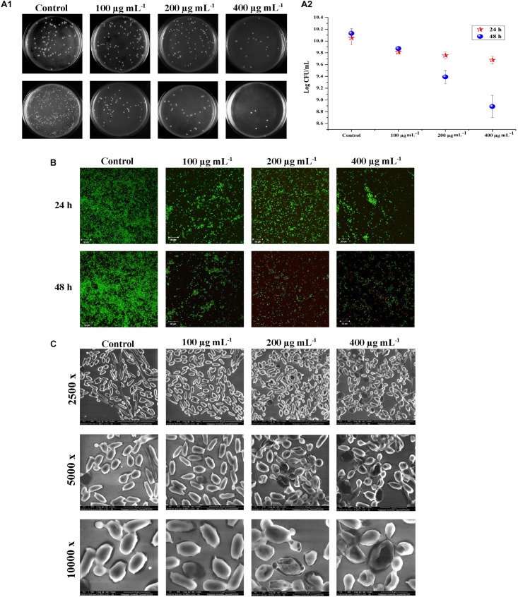 FIGURE 3