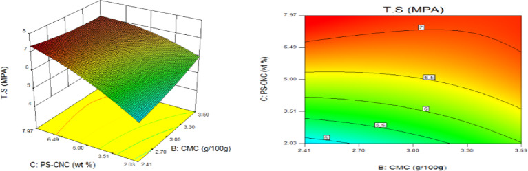 Fig. 10