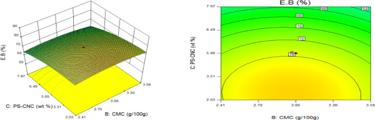 Fig. 13