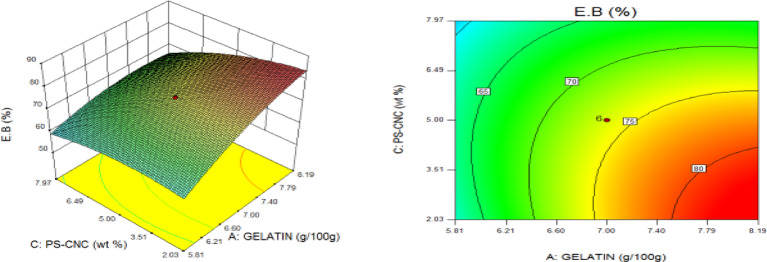 Fig. 12