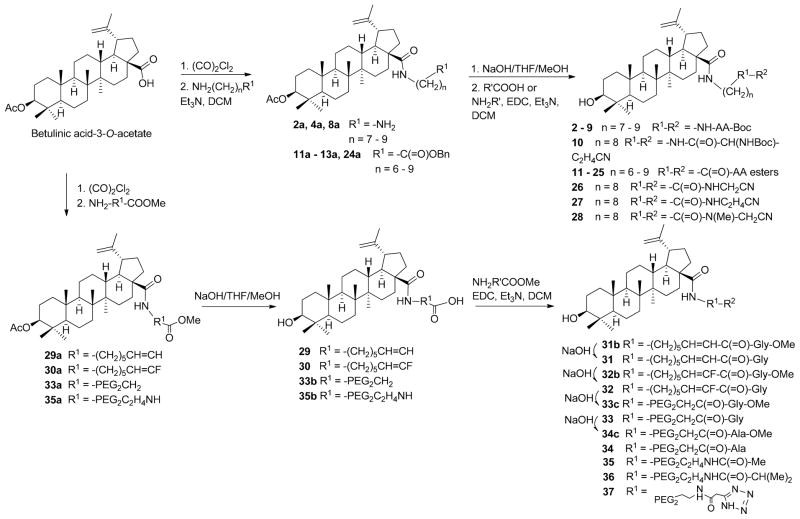 Scheme 1