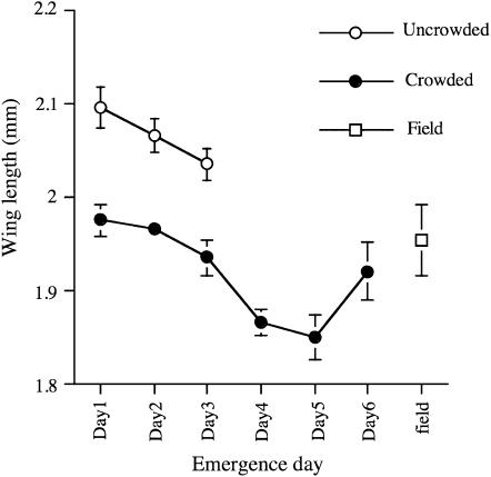 Figure 3.—