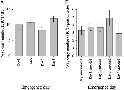 Figure 4.—