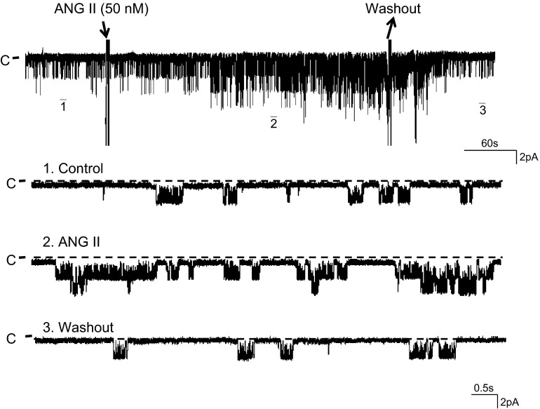 Fig. 1.