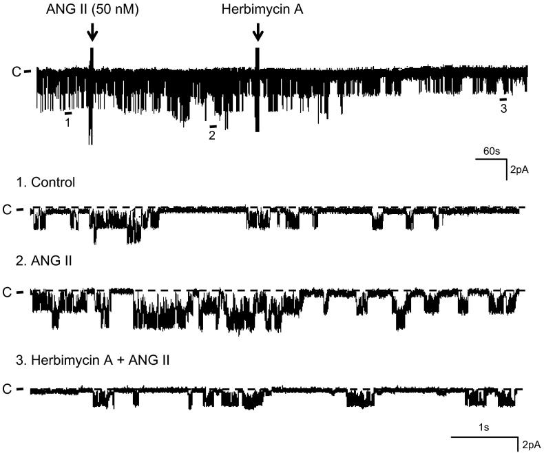 Fig. 8.