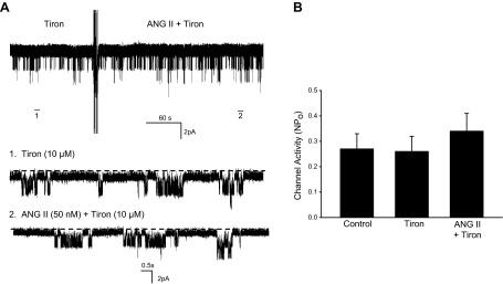 Fig. 7.