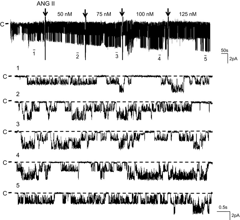 Fig. 2.