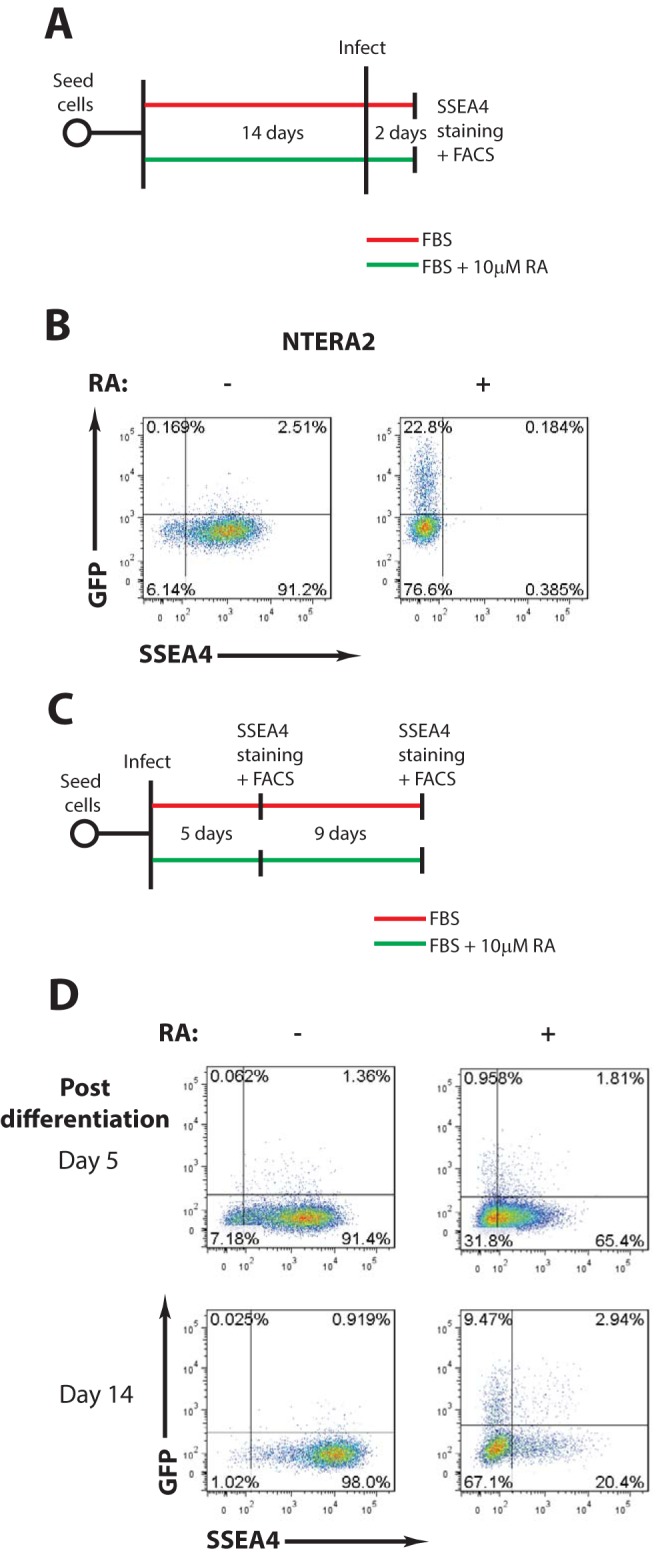 FIG 2