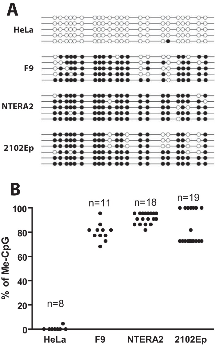 FIG 4