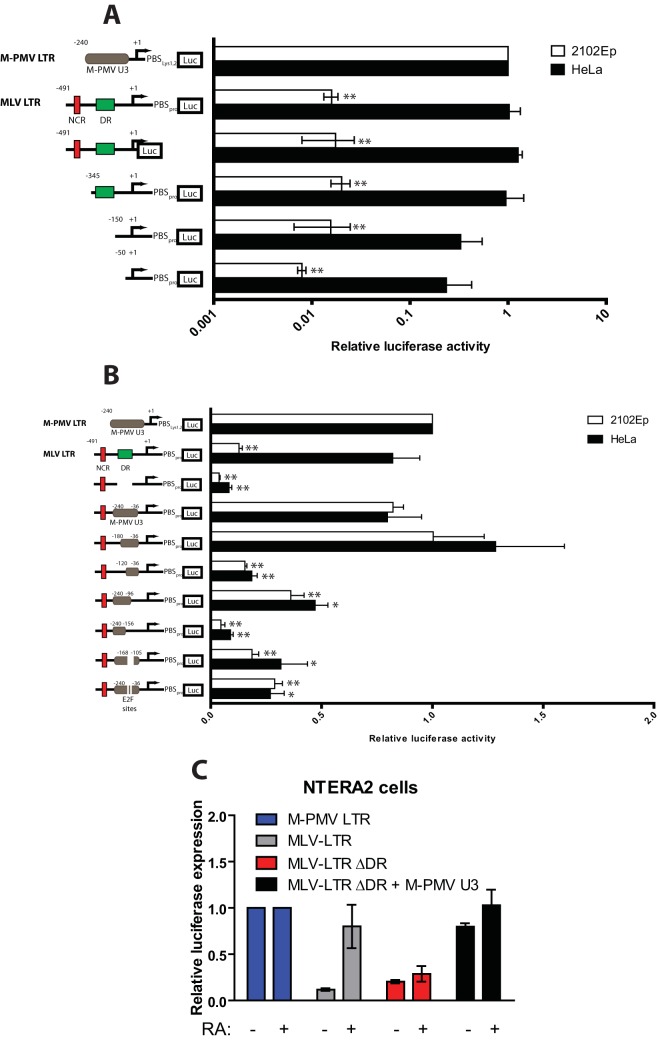 FIG 6