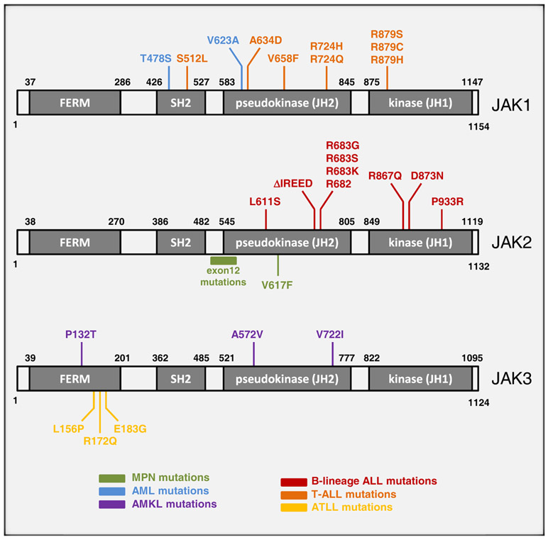 Figure 1.