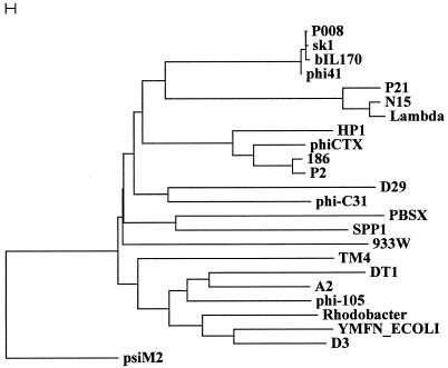 FIG. 6