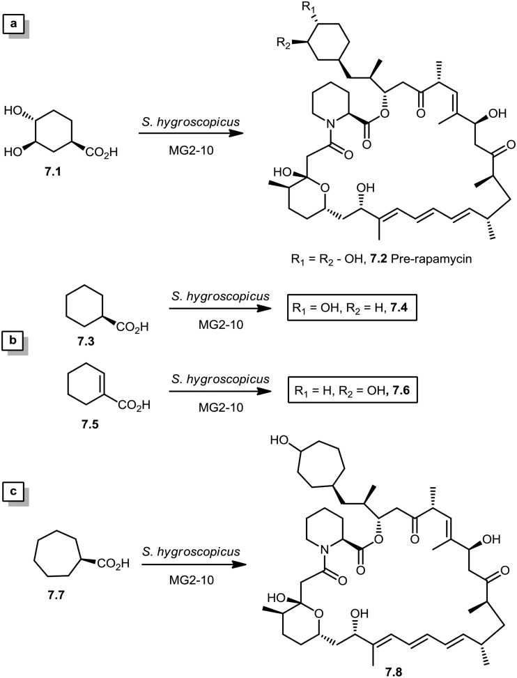 Scheme 7