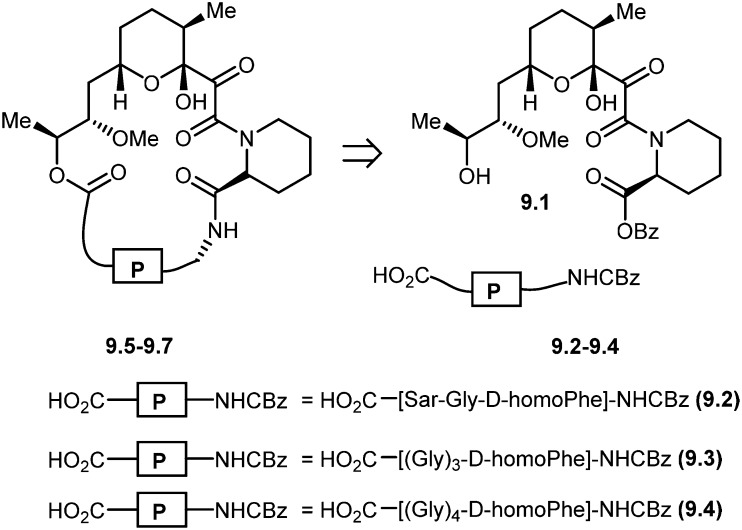 Scheme 9