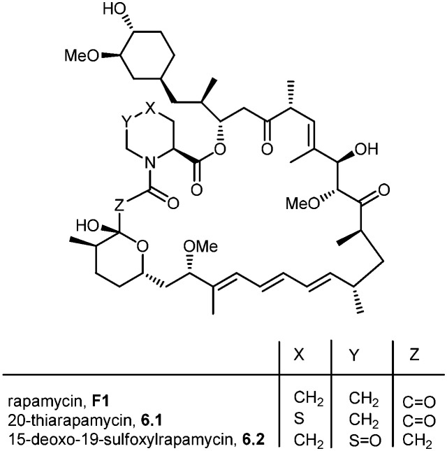 Scheme 6