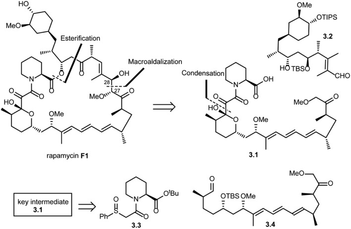 Scheme 3