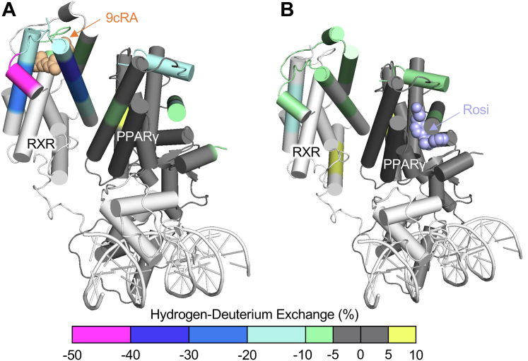 Fig. 4