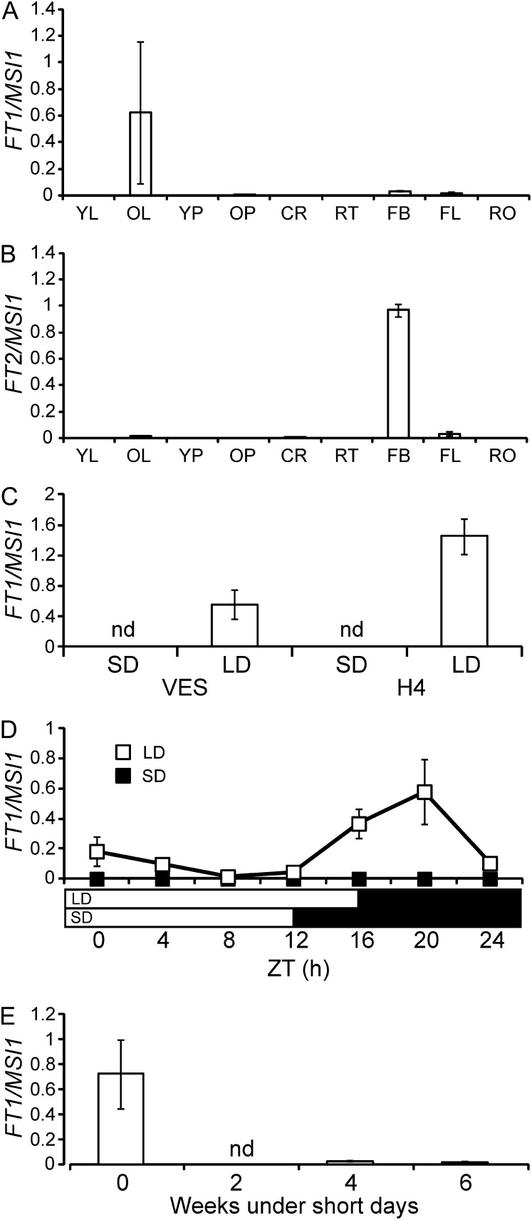 Figure 6.