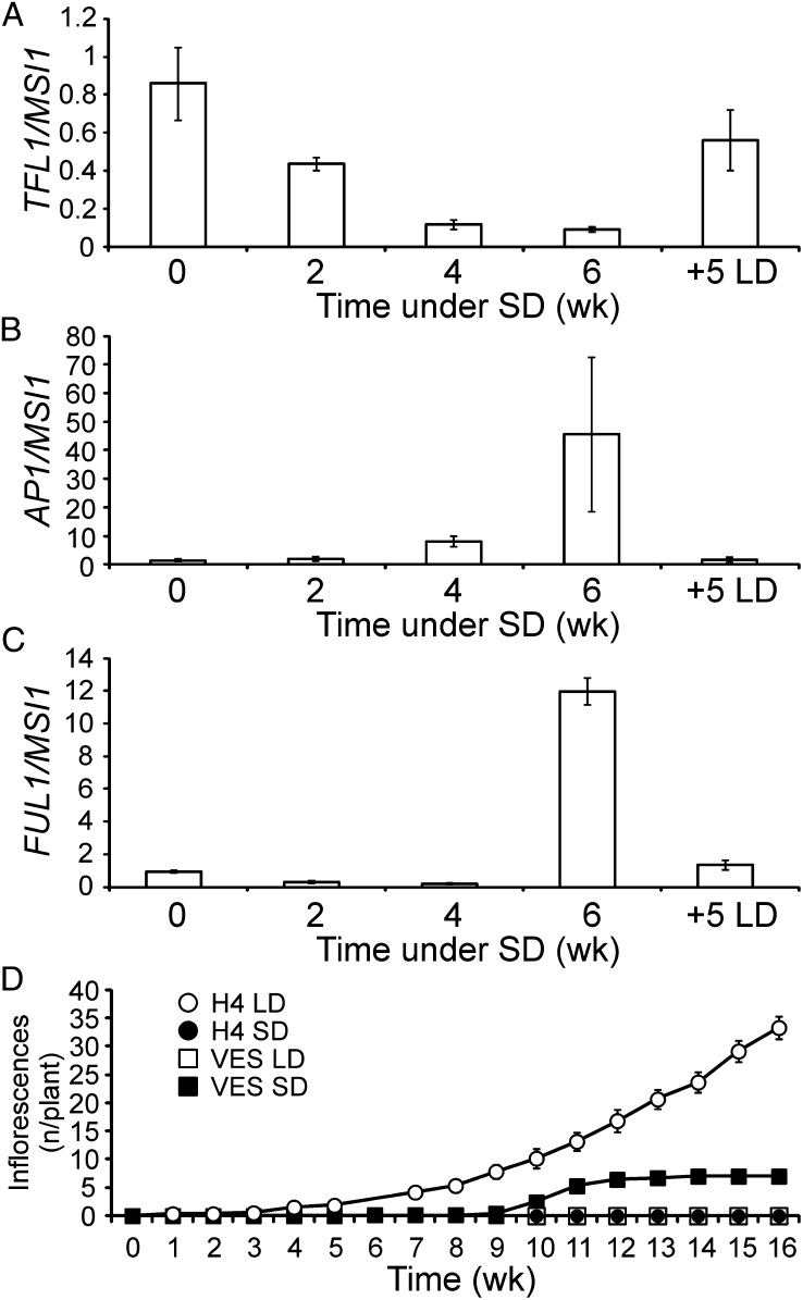 Figure 5.