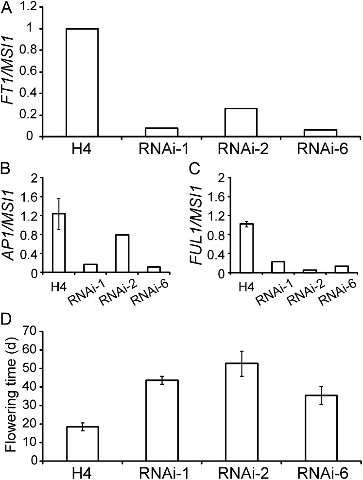 Figure 7.