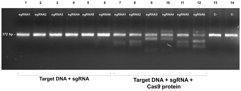 Fig 4