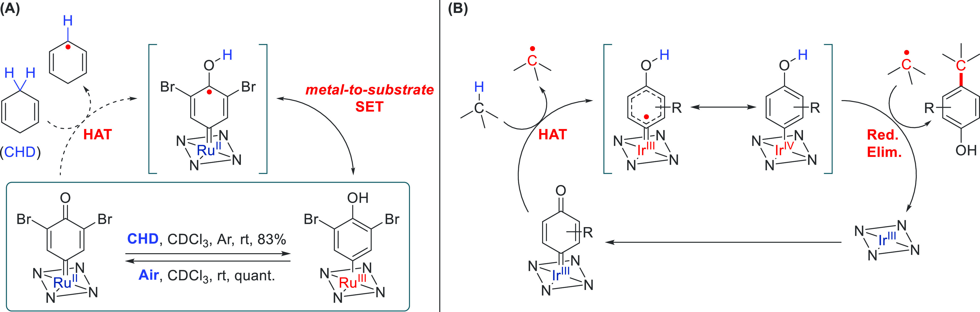 Scheme 7