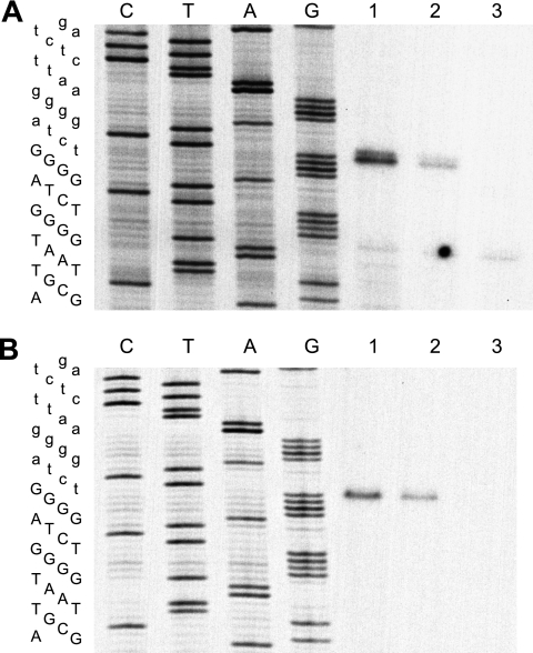 FIG. 6.