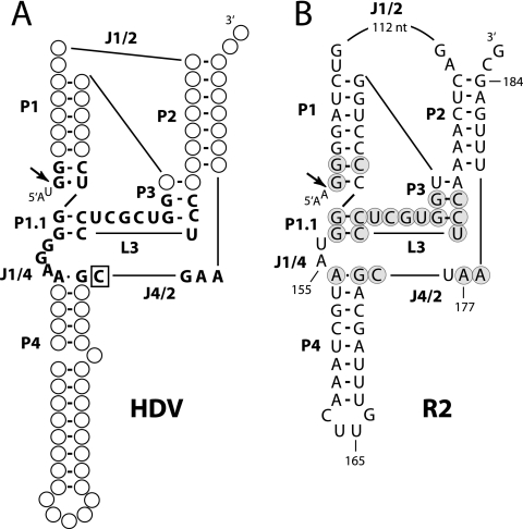 FIG. 4.