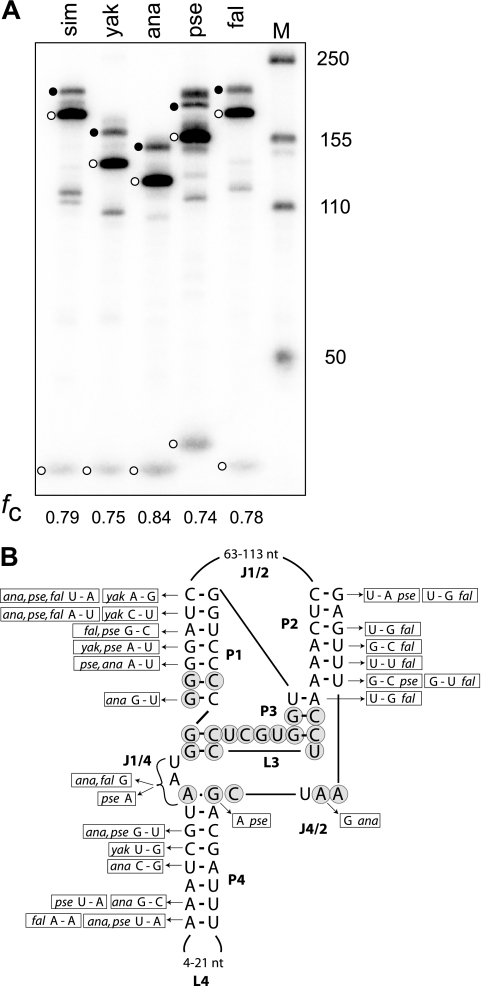 FIG. 8.