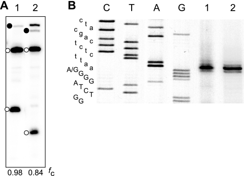 FIG. 5.