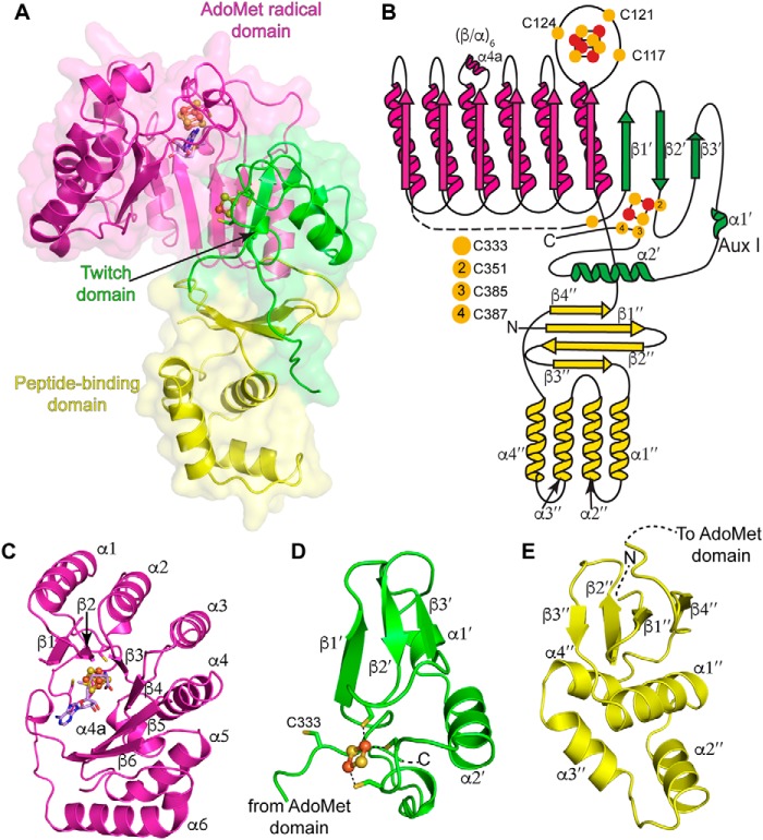 Figure 2.