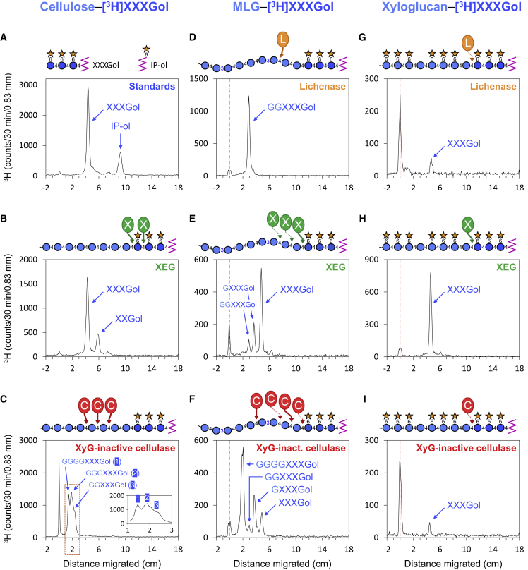 Figure 3