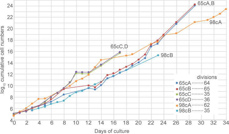 Fig 3