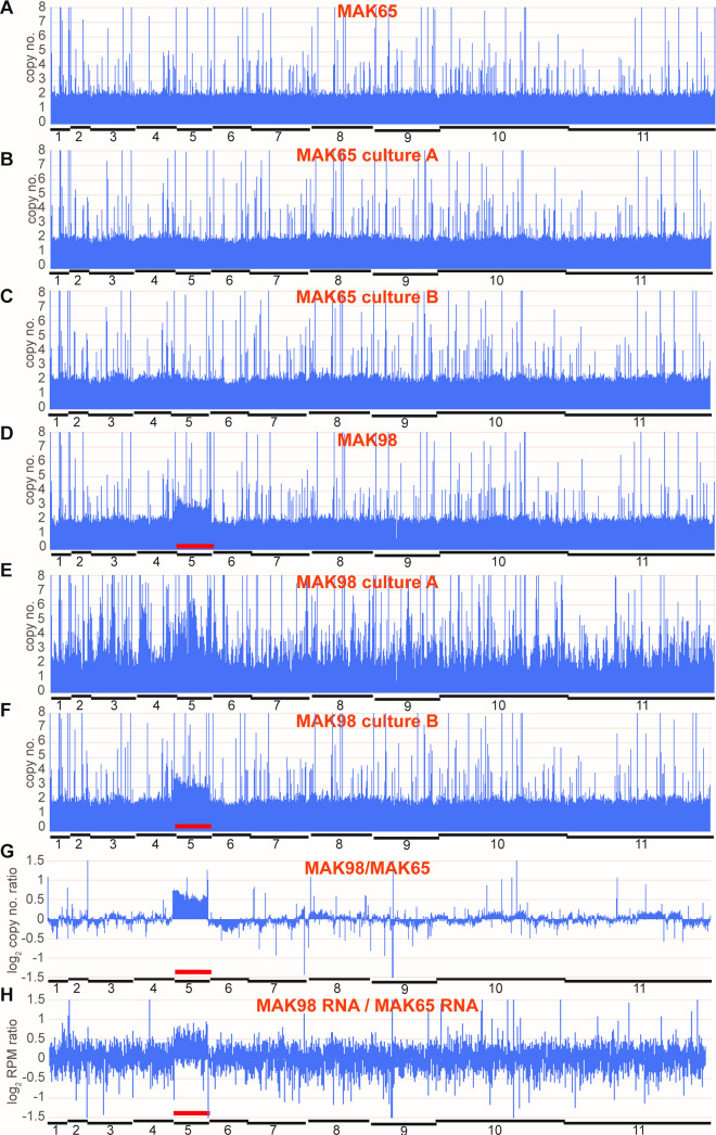 Fig 6