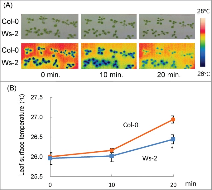 Figure 2.