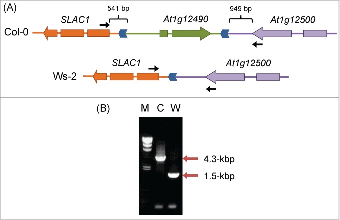 Figure 4.