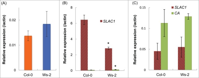 Figure 7.