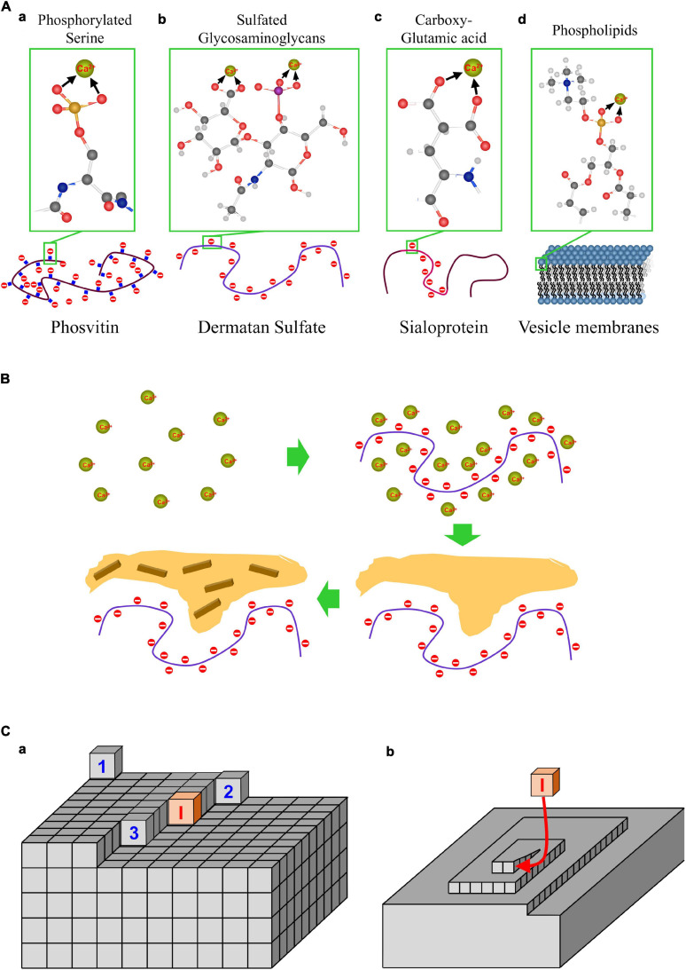 FIGURE 4