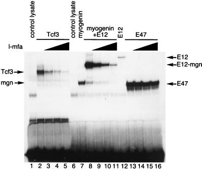 FIG. 6