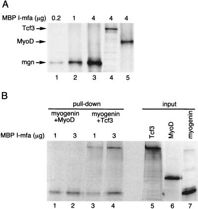 FIG. 7