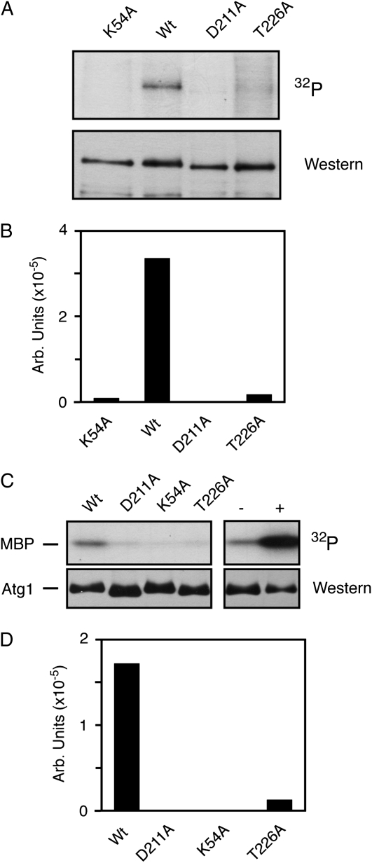 Figure 2.—