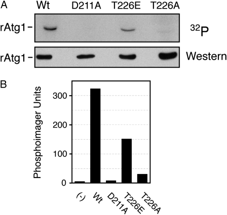 Figure 7.—