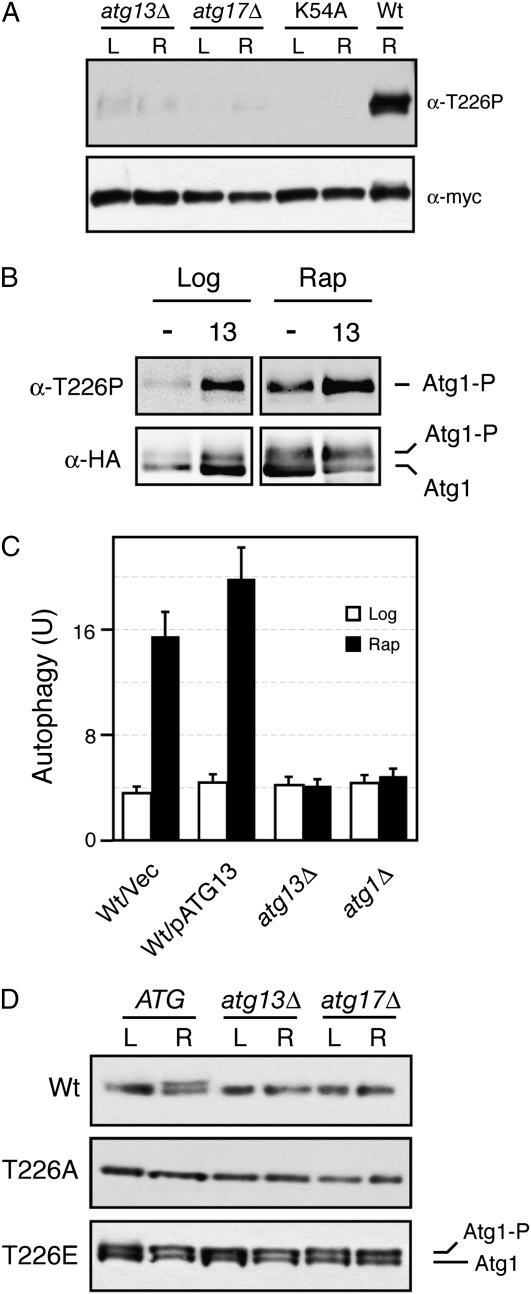 Figure 10.—